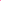 Solace London Dresses Fuchsia