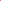 Solace London Dresses Fuchsia