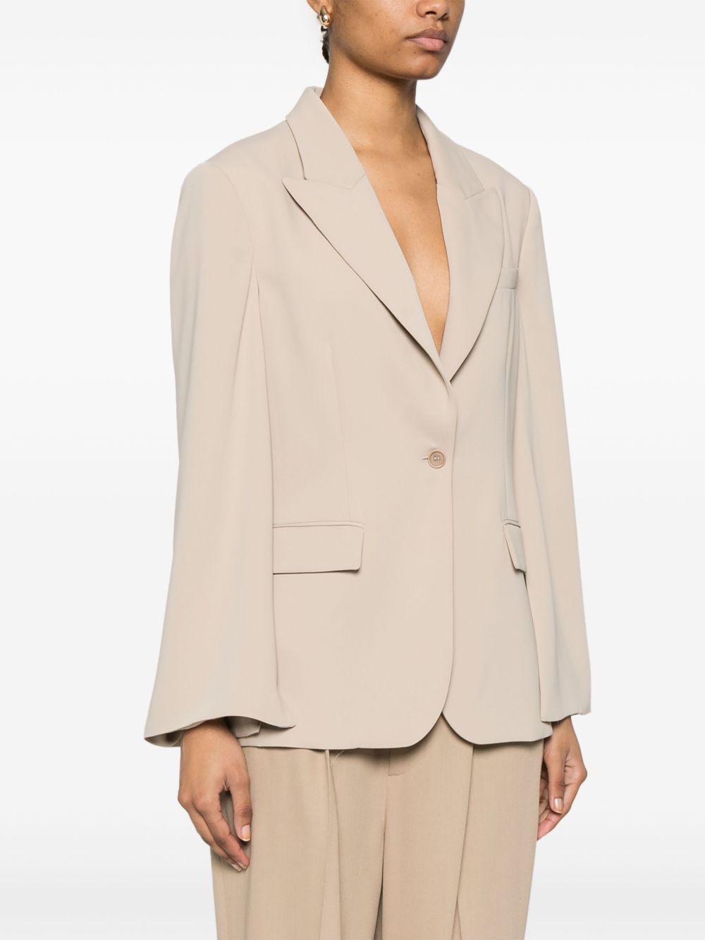 Parosh Single-Breasted Blazer