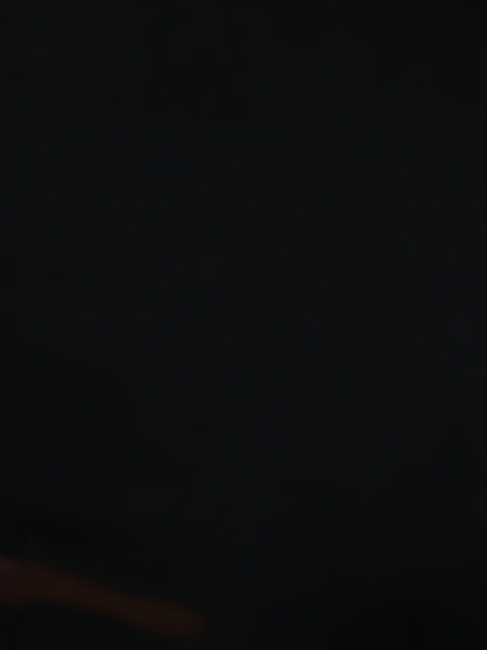 Stella McCartney Flat shoes Black