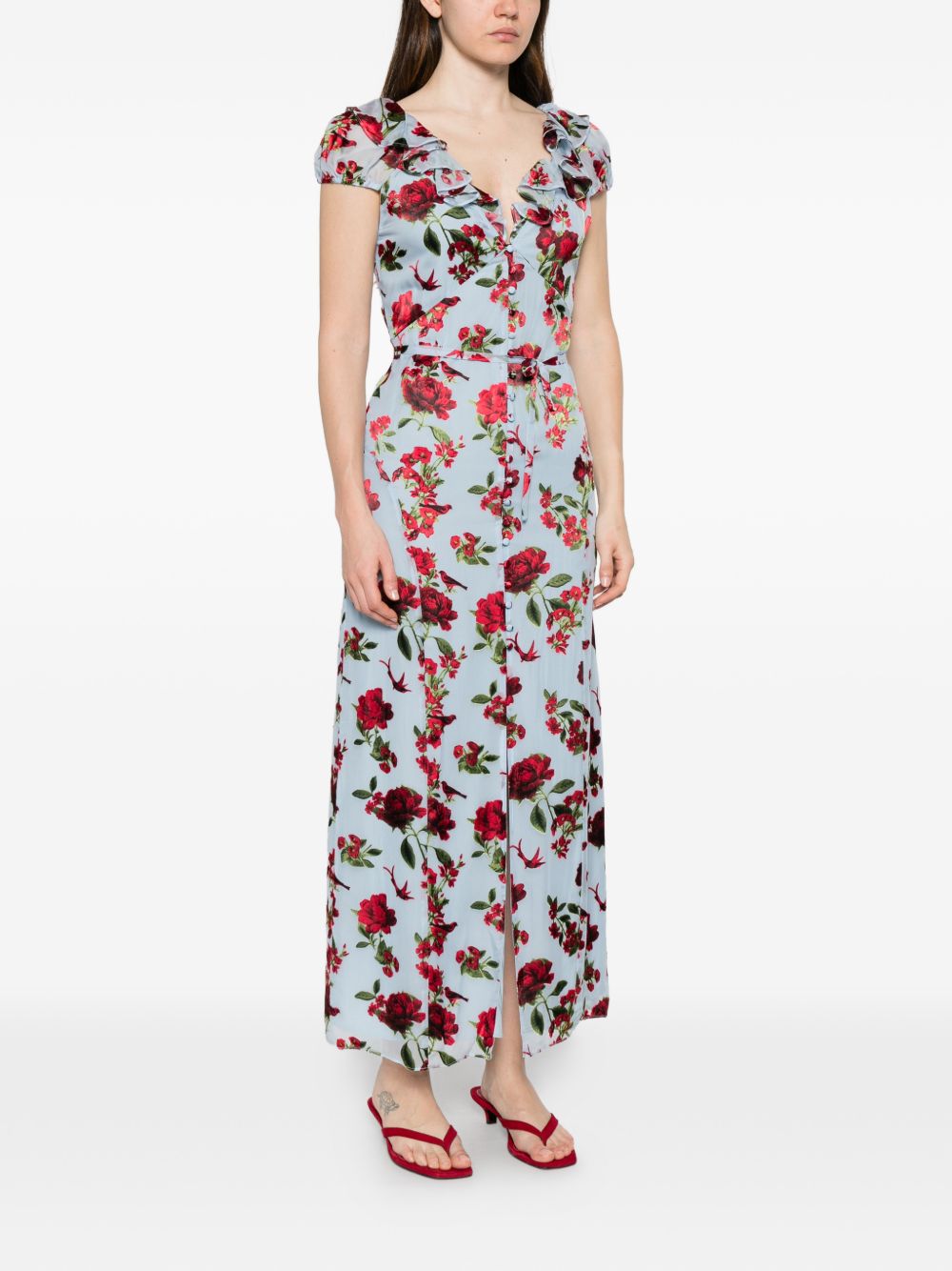 Alice + Olivia Tara printed long dress