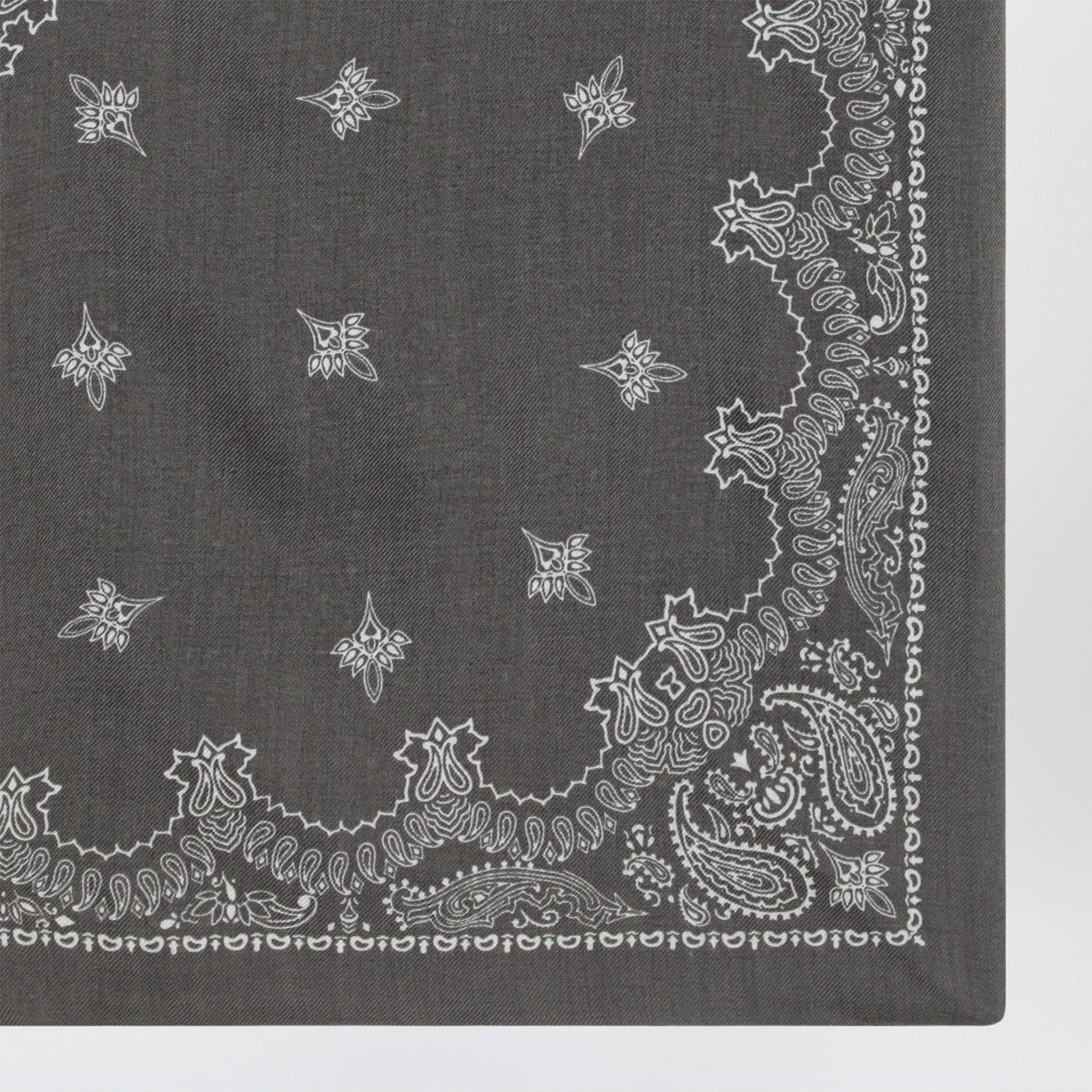 Destin Grey Paisley wool scarf